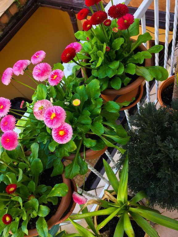 فيليتشكا Hostel Florencja المظهر الخارجي الصورة